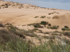  טיולי ג'יפים: חולות פלמחים לחולות ניצנים. Palmahim to Nitzanim Off road 4x4 jee