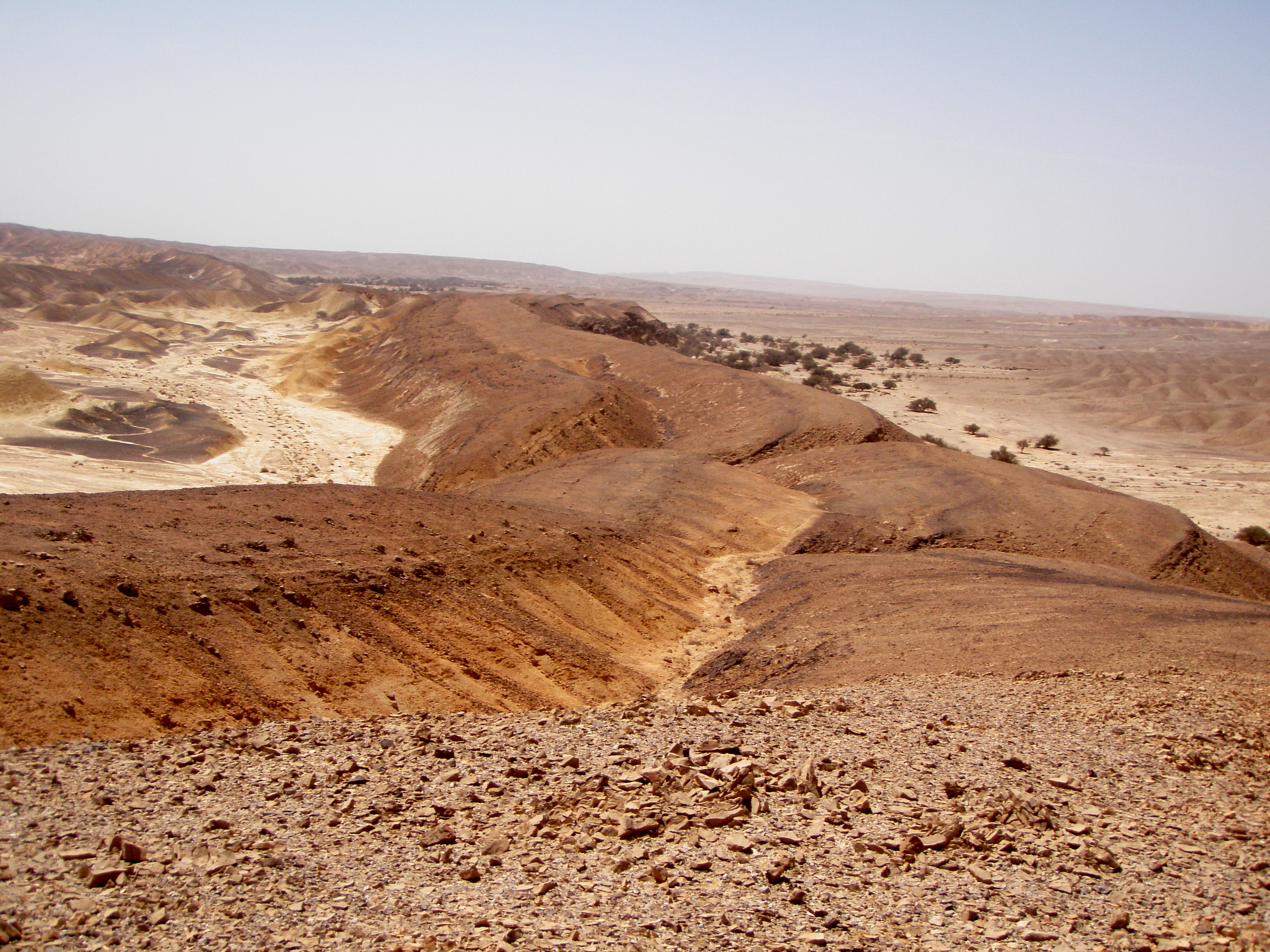 Off road 4x4 tours Telem Tsichor. טיולי ג'יפים: נחל ציחור, תלם עשת, בקעת