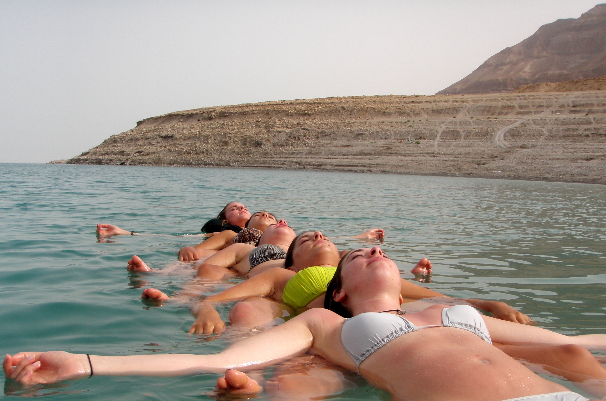 Dead Sea permaculcher prj.