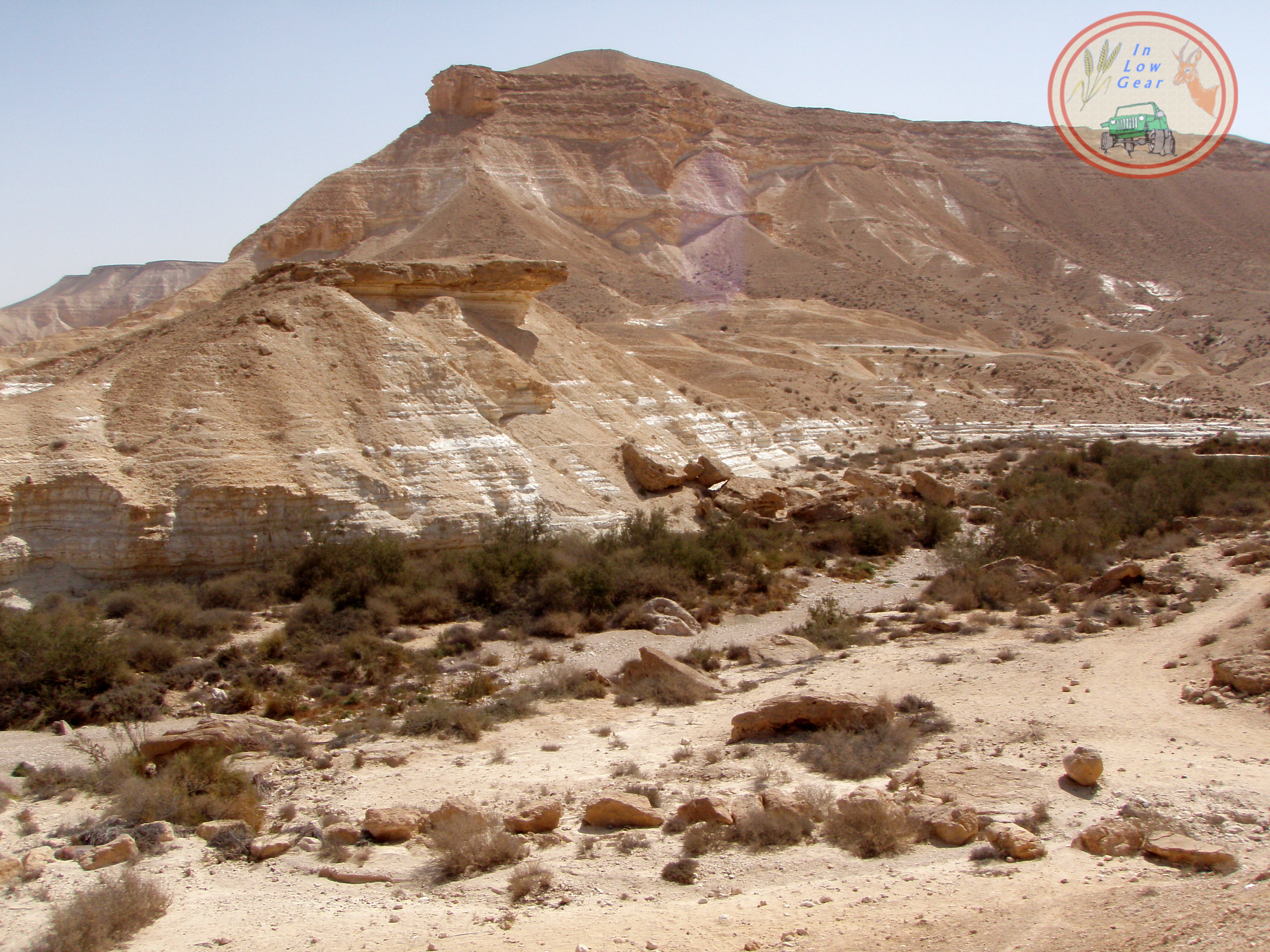 המשקיף על בני ישראל במדבר צין מראש מצוק הצינים