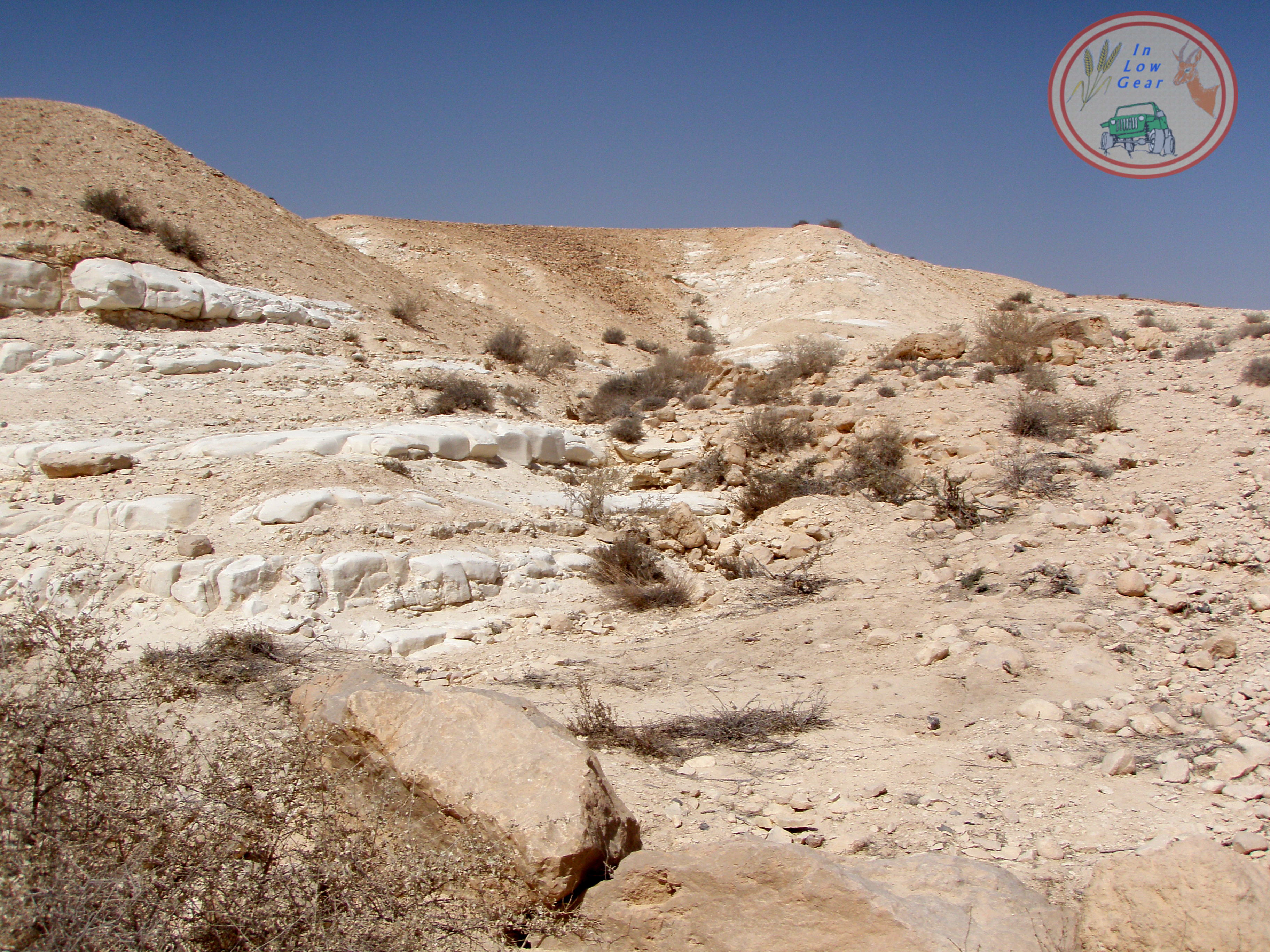 כשהקרקע נסחפת, מתגלה יופיו של הסלע...קירטון צחור כשלג החרמון