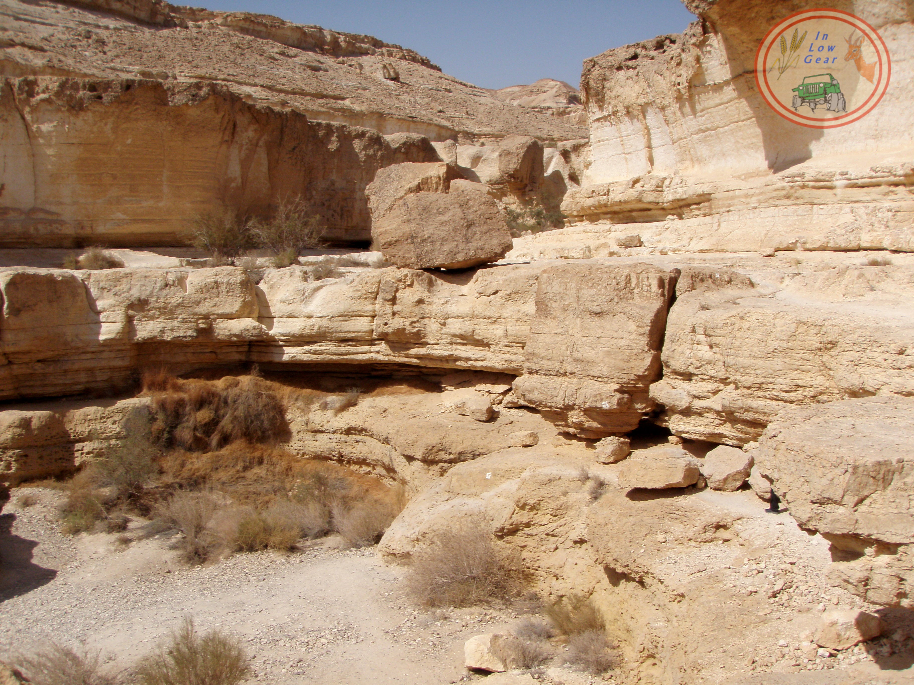 מטפסים לגב זרחן