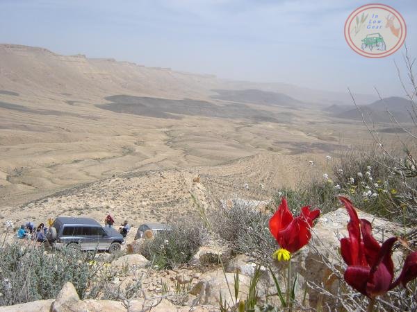 Ma'ale Arod Mitzpe Ramon jeep tours.