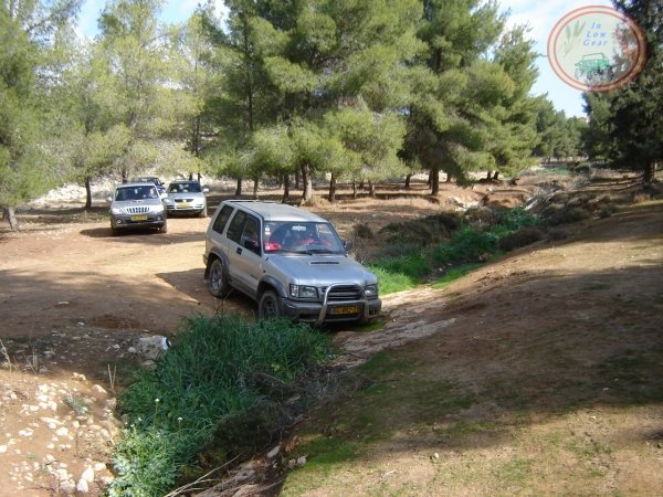 Anim wadi, Yatir forest jeep tours.