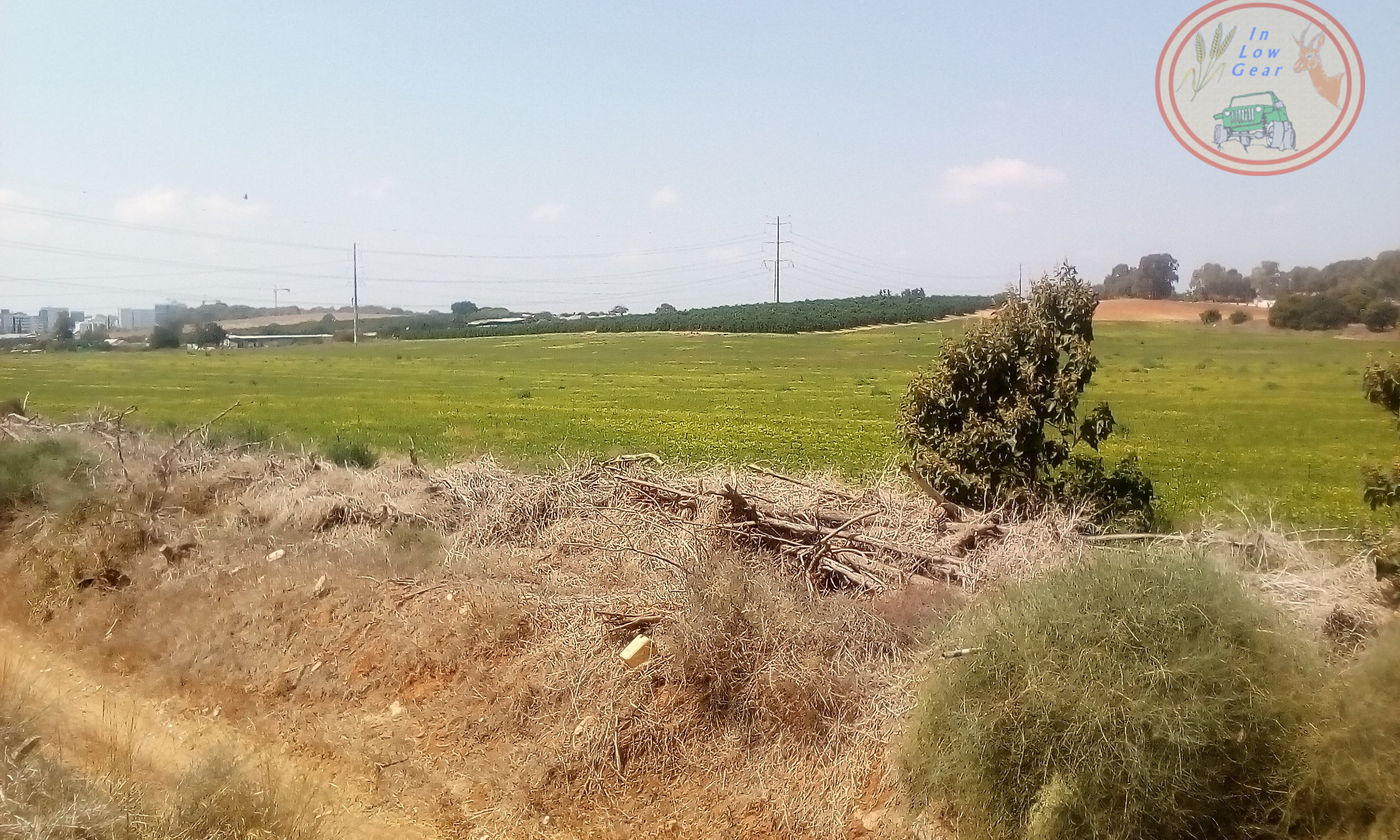 VC Rehovot, Netzer-Sireny Ana Tree Nature reserve . התנדבות למען שמורת שיטה מלבינה רחובות נצר סירני