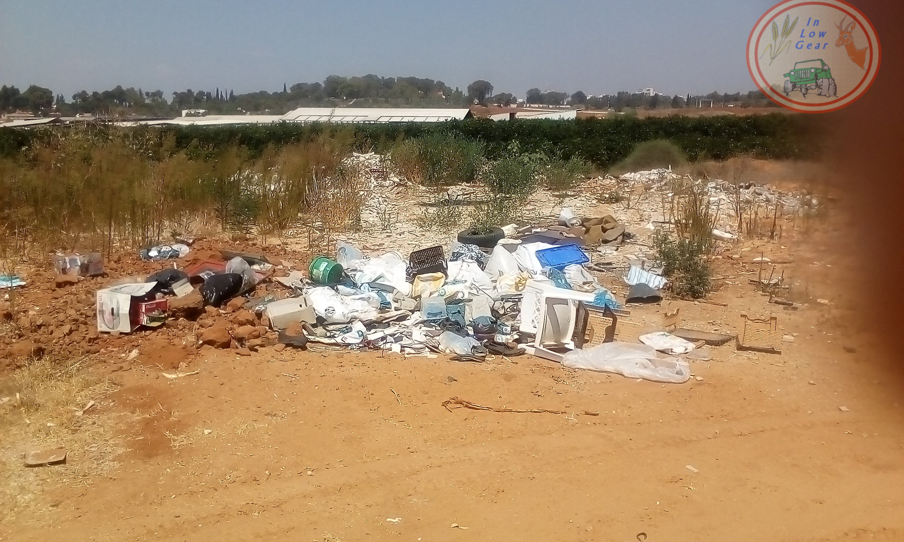 VC Rehovot, Netzer-Sireny Ana Tree Nature reserve . התנדבות למען שמורת שיטה מלבינה רחובות נצר סירני