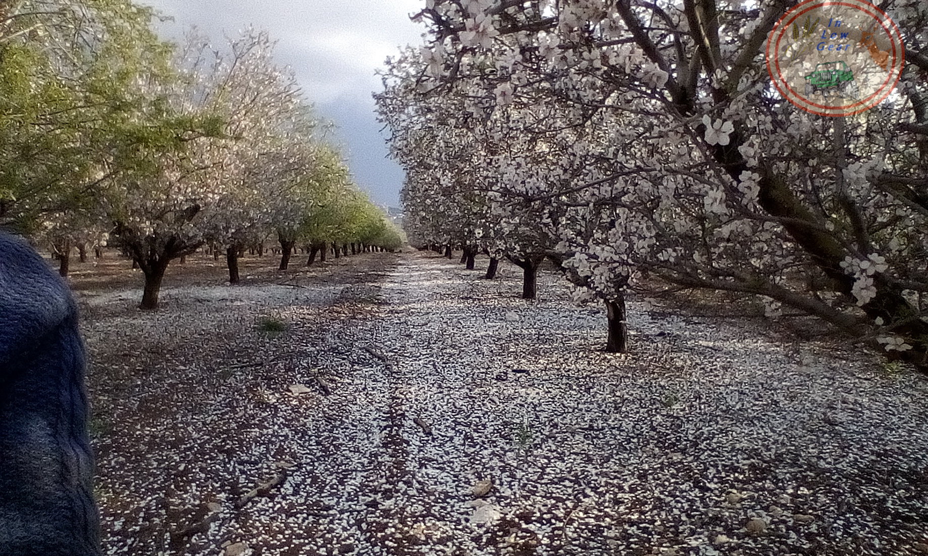 העצמה במוזיקה, דמיון מודרך ומדיטציה
