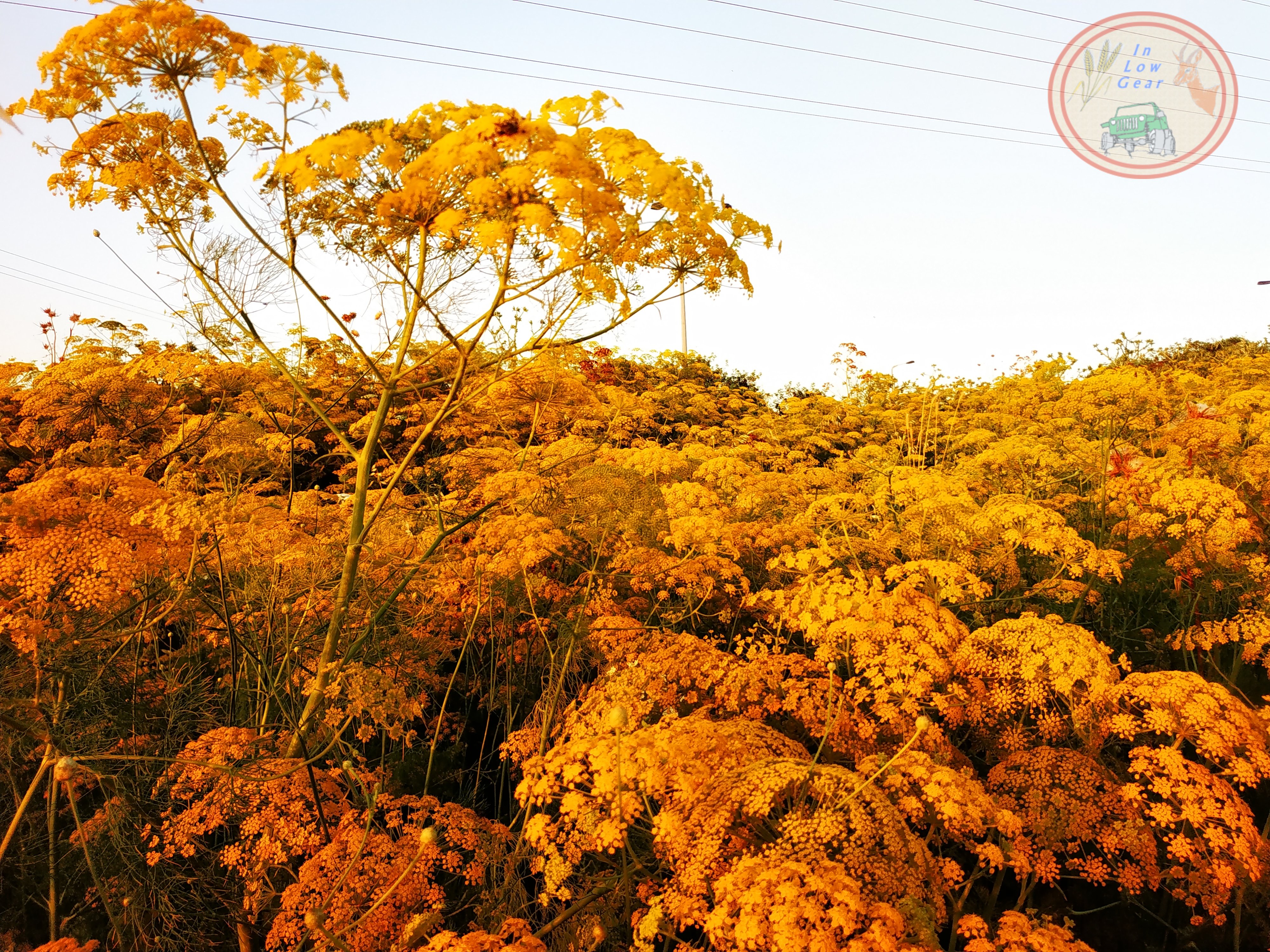 העצמה במוזיקה, דמיון מודרך ומדיטציה העצמה במוזיקה, דמיון מודרך ומדיטציה