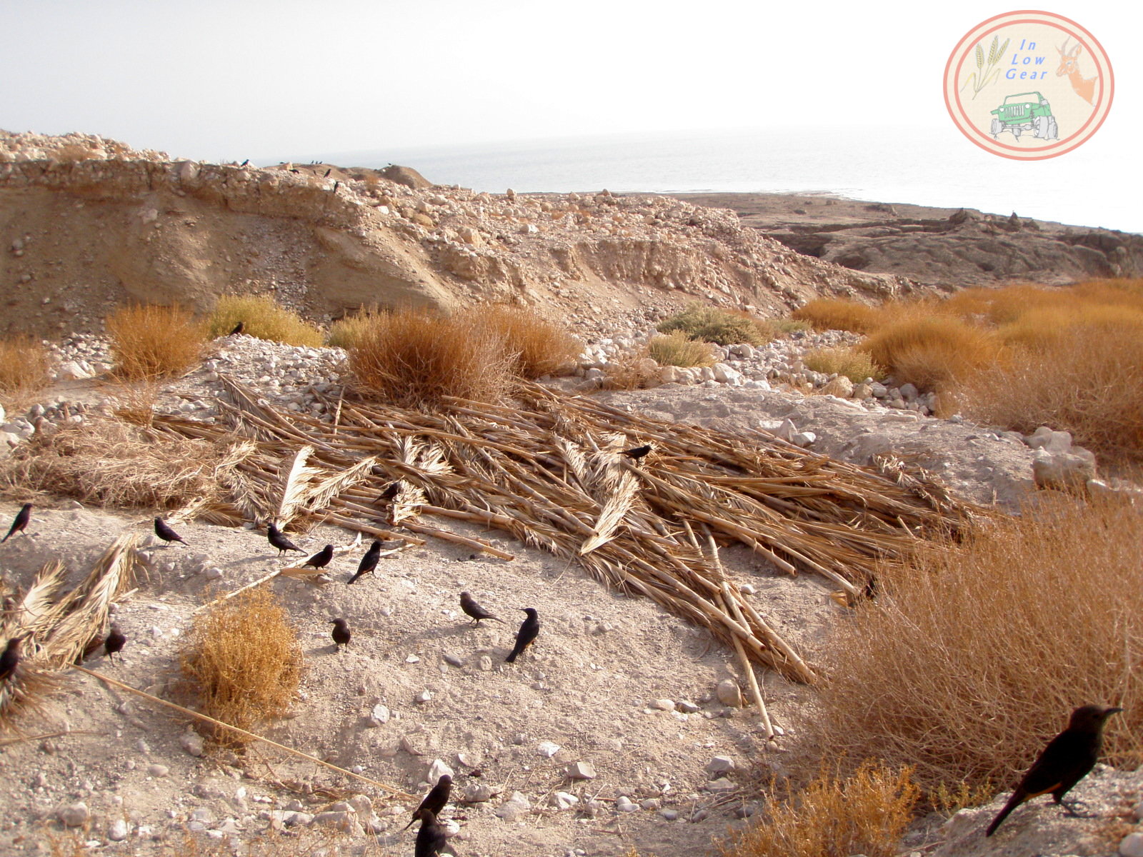 Desert evaporation reduction .מניעת התאדות מים מדברית