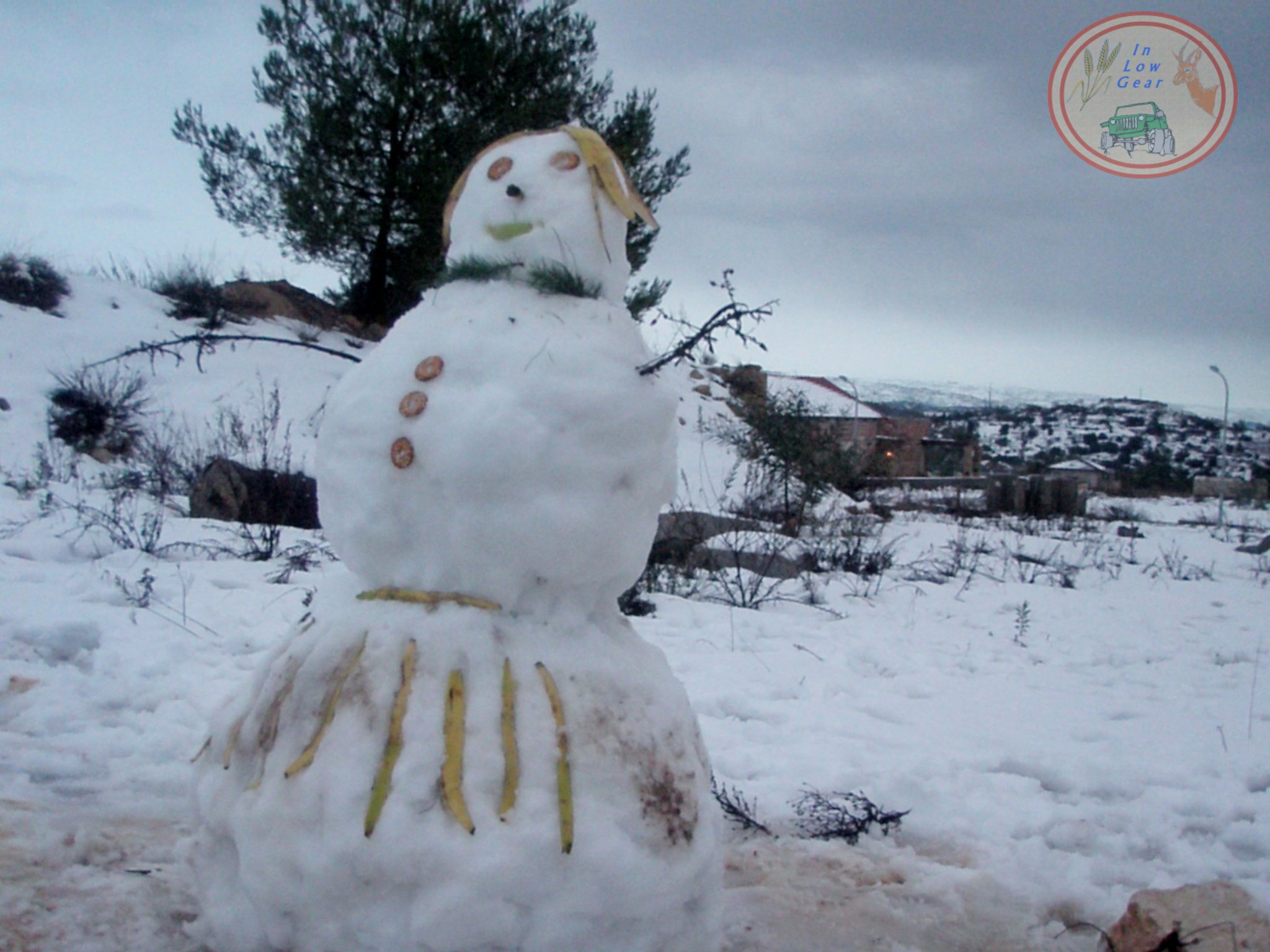 Jerusalem hills Snow Adventure tours 4x4 