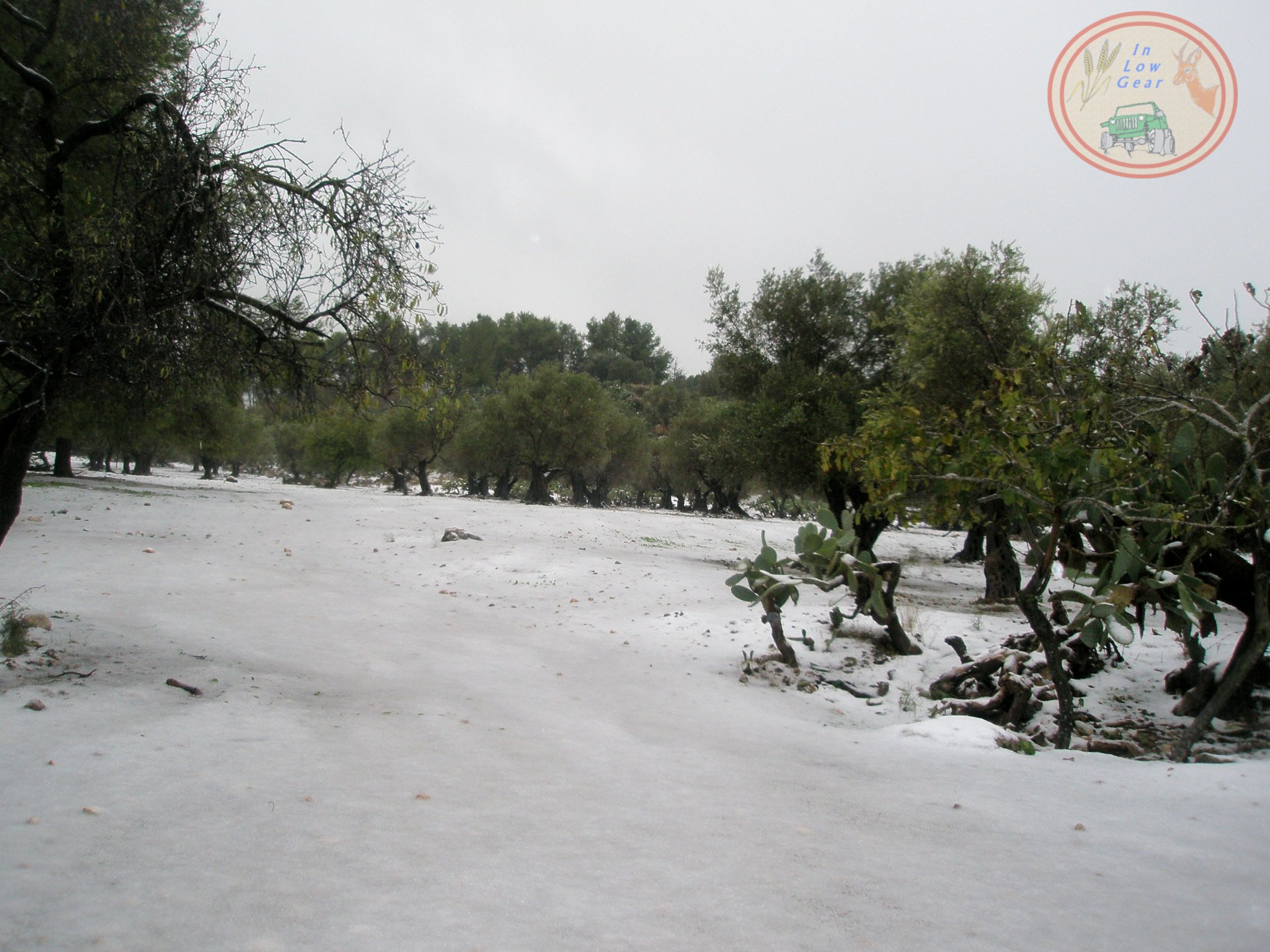 Tel Hadid snow adventure tours 4x4