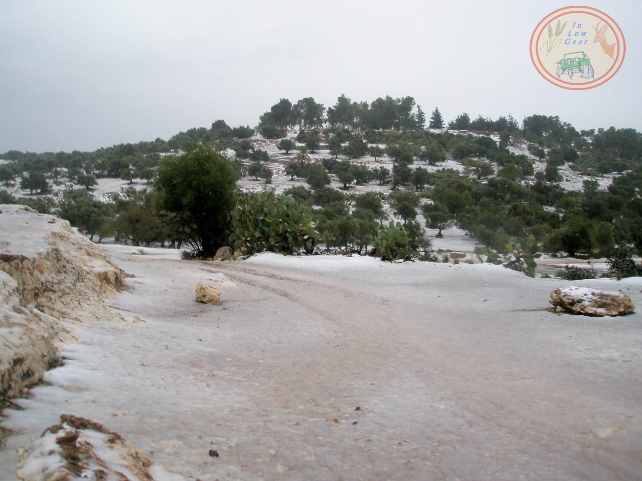 Tel Hadid snow adventure tours 4x4