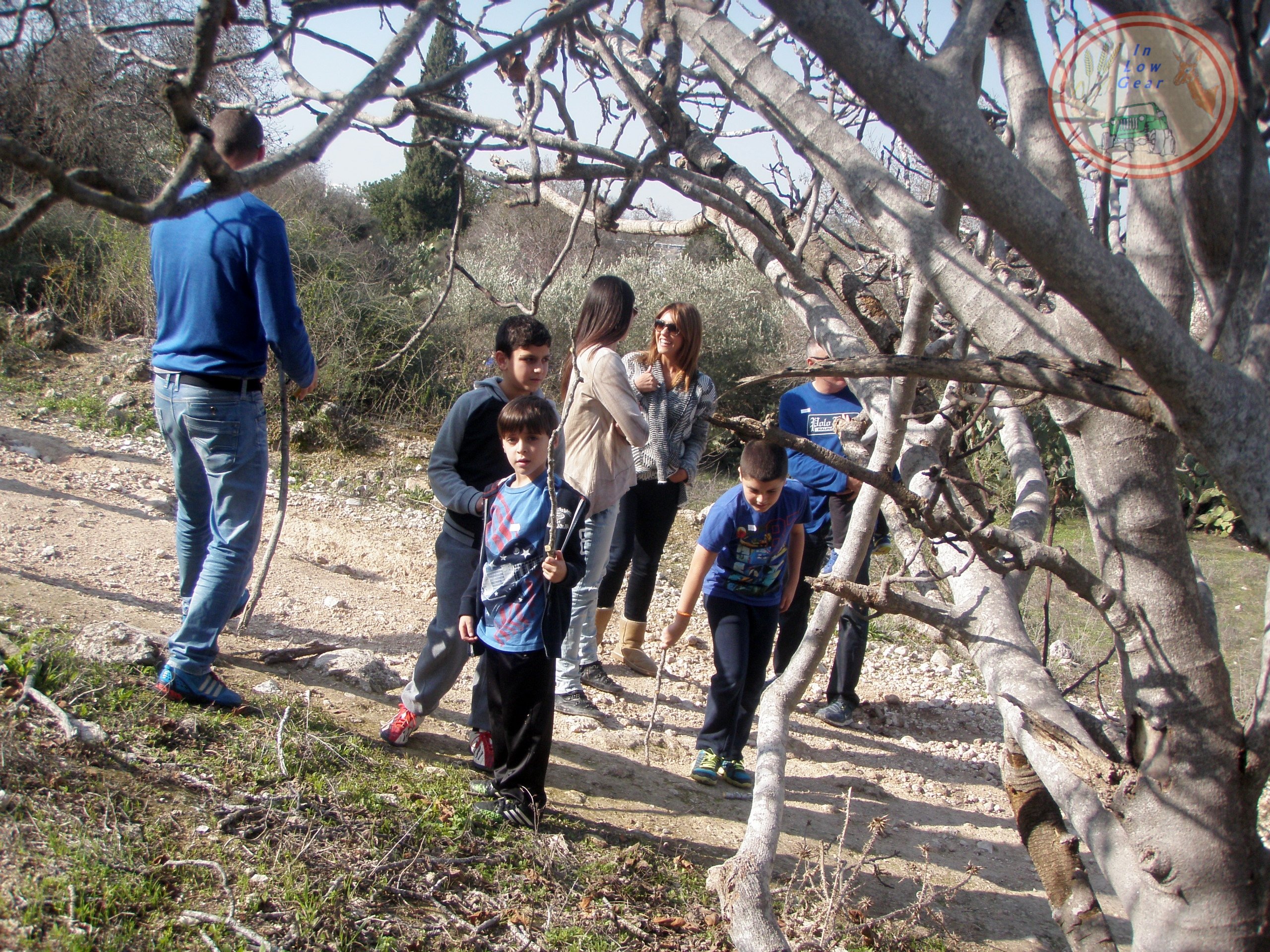 סדנת פרמקלצ'ר הורים וילדים בטבע: הכנת יחורים לעצי פרי סדנת פרמקלצ'ר הורים וילדים בטבע: הכנת יחורים לעצי פרי