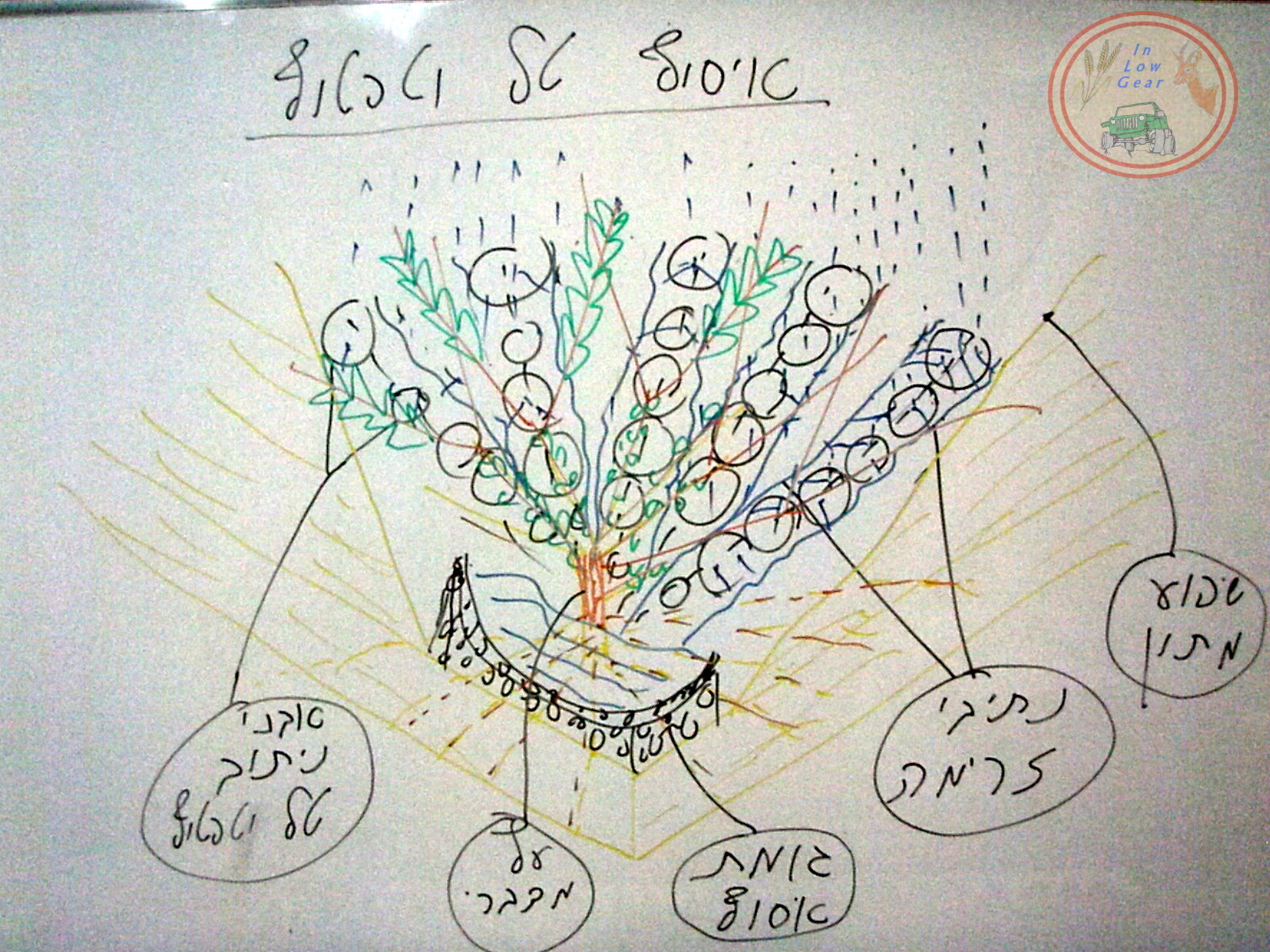 איסוף טל וטפטוף מדברי איסוף טל וטפטוף מדברי