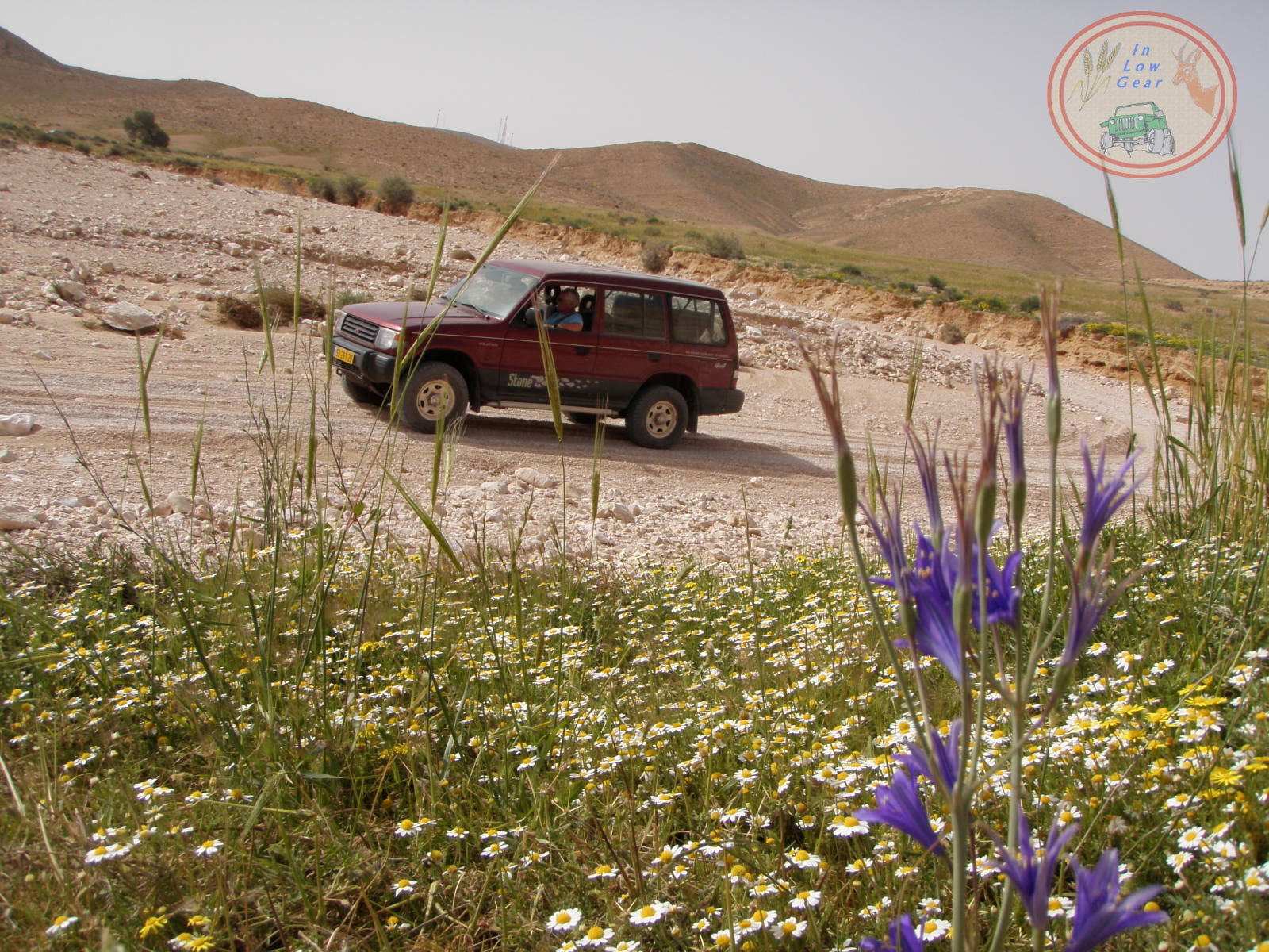 Nahal Lots in spring 4x4 jeep tours