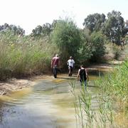 נחל גרר. Nahal Grar 