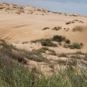  טיולי ג'יפים: חולות פלמחים לחולות ניצנים. Palmahim to Nitzanim Off road 4x4 jee