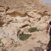 טיול ג'יפים להר כרכום, נחל לוץ והר שגיא. Nahal Lotz Sagi Karkom Off road 4x4 jee