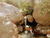 Ein Gedi oasis nature reserve adventure jeep tour