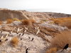 Desert evaporation reduction .מניעת התאדות מים מדברית