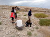 WS Research: Dead Sea soil desalinization. סדנת מחקר פרמקלצ'ר: נטרול מליחות קרקע ים המלח