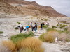 WS Research: Dead Sea soil desalinization. סדנת מחקר פרמקלצ'ר: נטרול מליחות קרקע ים המלח