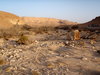 Adventure tours Negev: Har Karkom